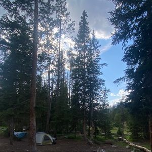 Meet your Posher, Marian